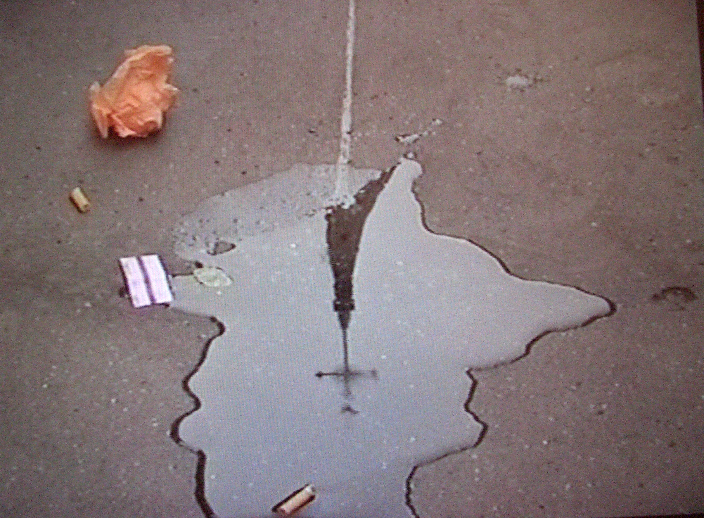 Ce que j'ai sous les yeux (1ère partie)