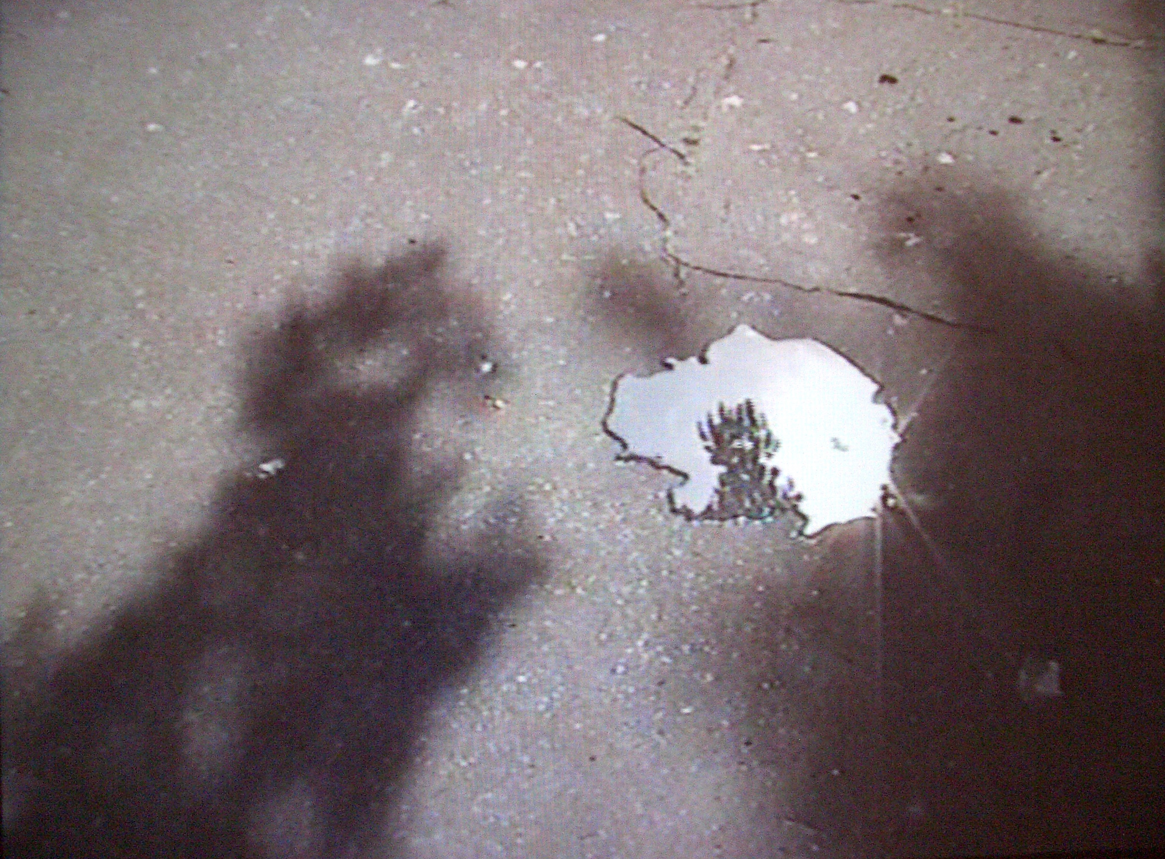 Ce que j’ai sous les yeux (2<sup>e</sup> partie)